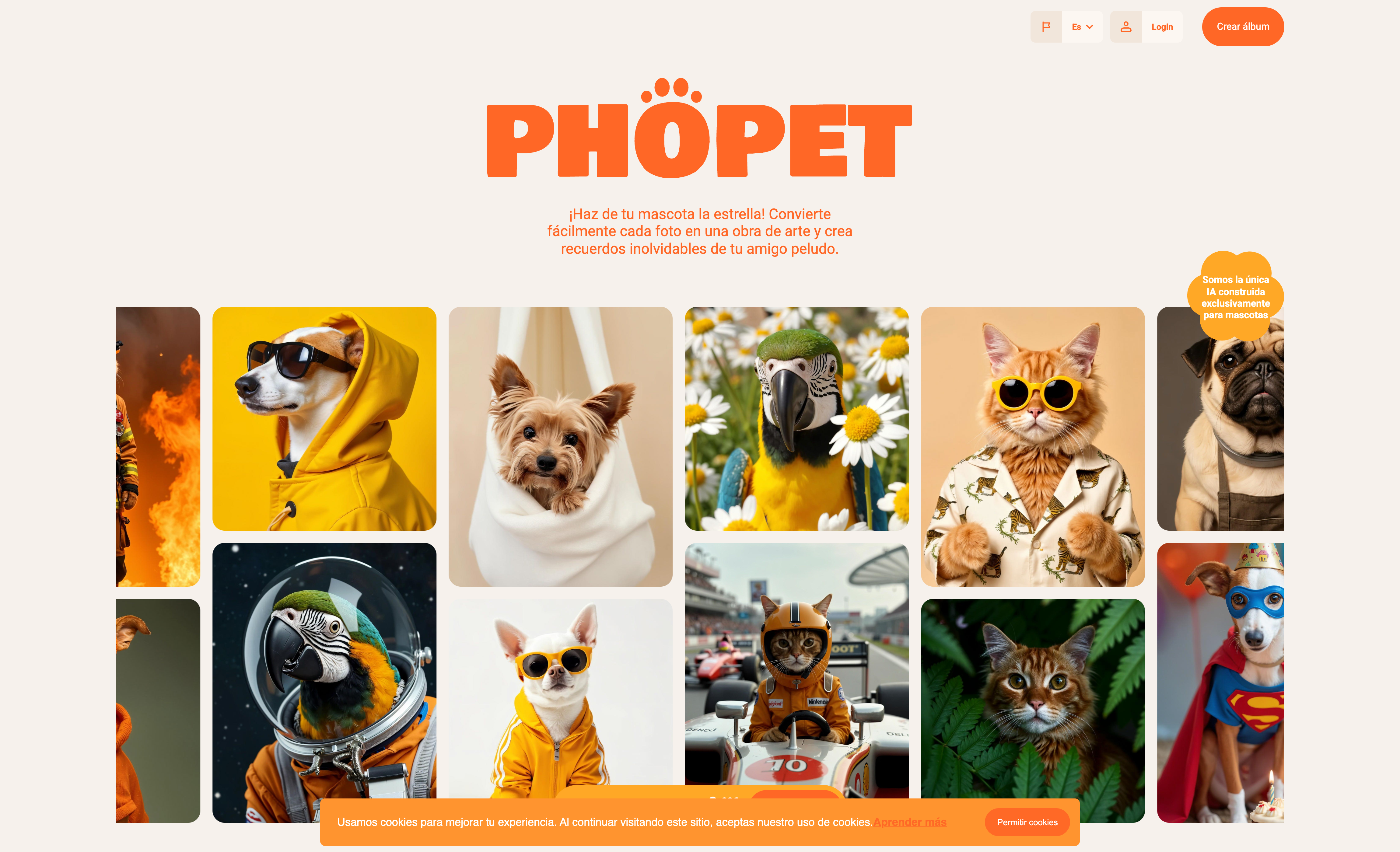 Phopet Website Screenshot